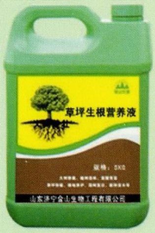 點(diǎn)擊查看詳細(xì)信息<br>標(biāo)題：草坪生根營(yíng)養(yǎng)液 閱讀次數(shù)：1813